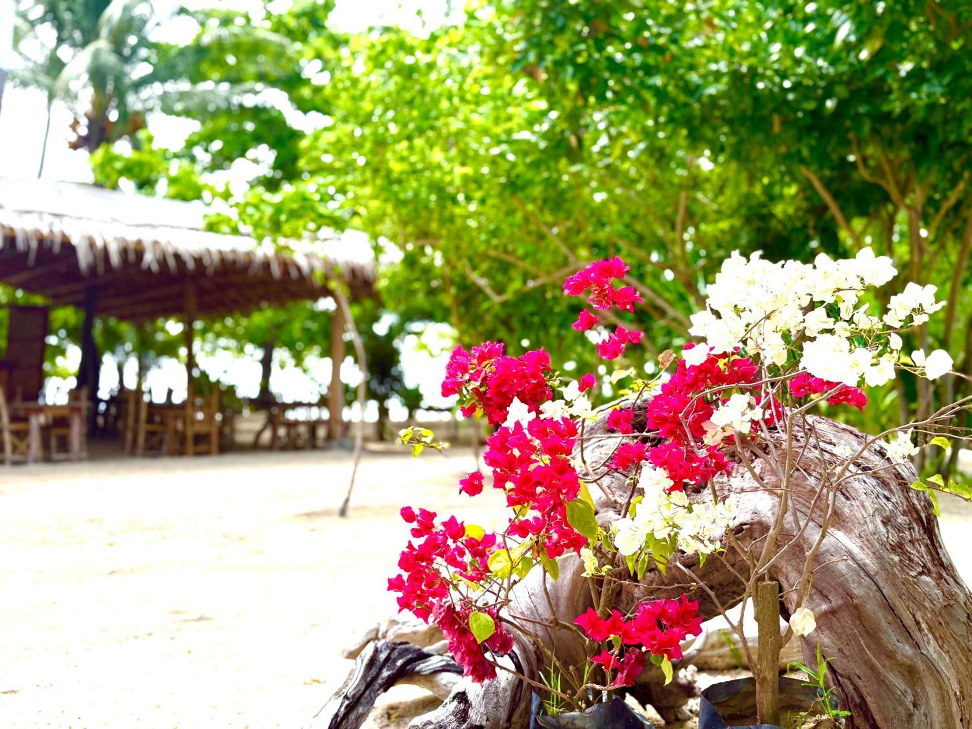 Dosplaya Ecocamp El Nido Exterior foto